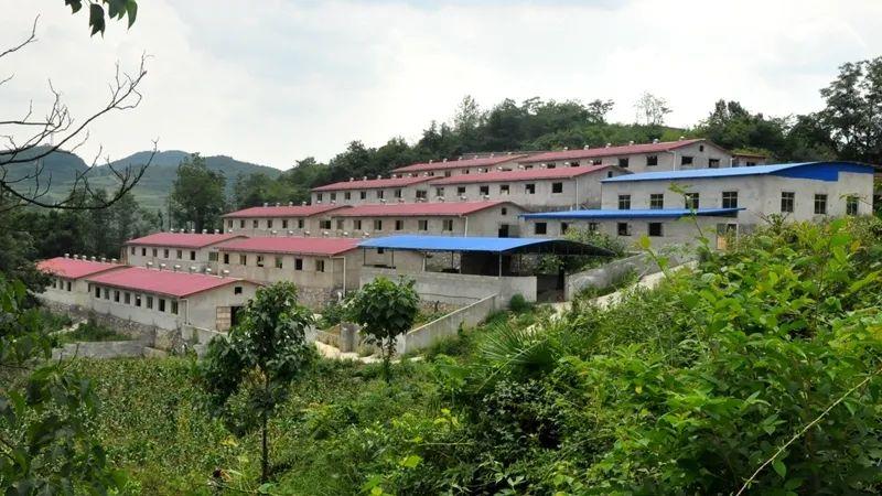 谱写贵阳繁荣发展新篇章】贵州富之源科技集团努力创建民族团结示范